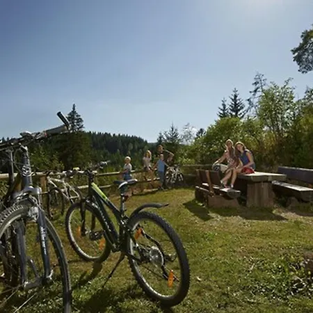 Engel - Familotel Hochschwarzwald 2* טודנאוברג