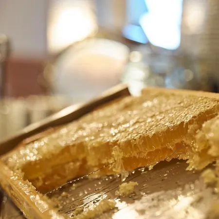 Hotel Engel - Familotel Hochschwarzwald Todtnauberg